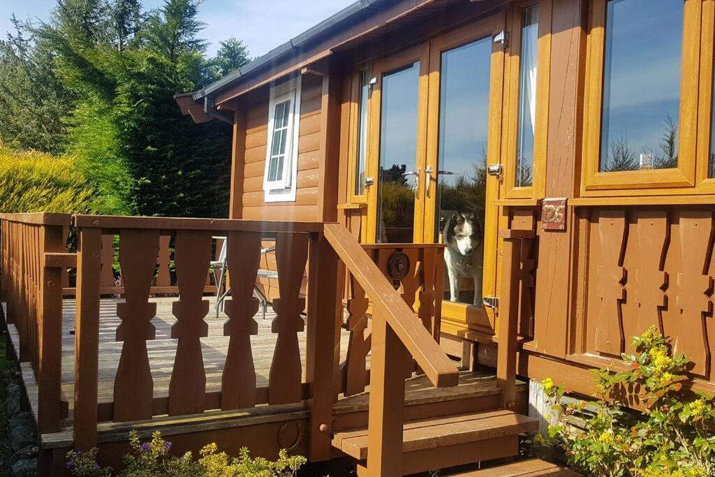 Cabin Leilighet Trawsfynydd Eksteriør bilde